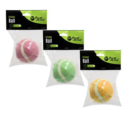 Ball cricket practice